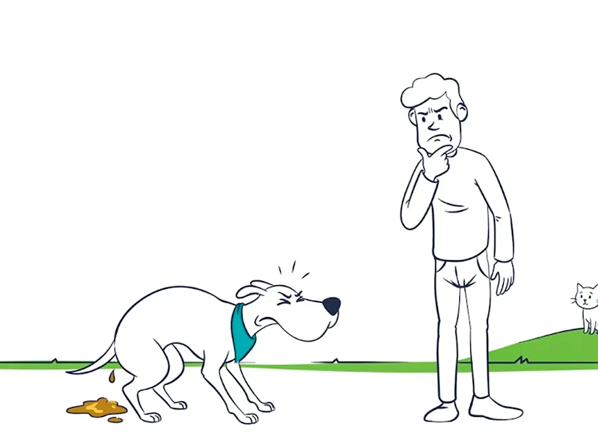 Mi perro tiene diarrea: causas comunes, qué hacer en casa y cuándo ir al veterinario