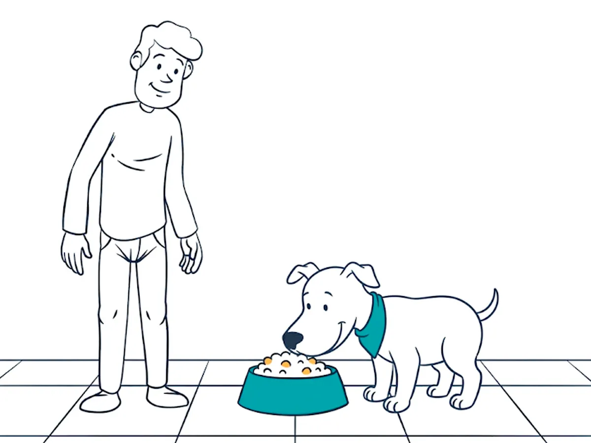 Alimentación del cachorro: cuánto darle, cuántas tomas y cómo cambiar de pienso