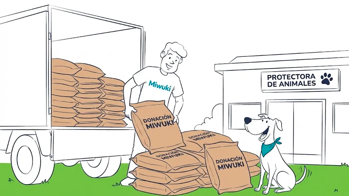 Donaciones de comida a protectoras