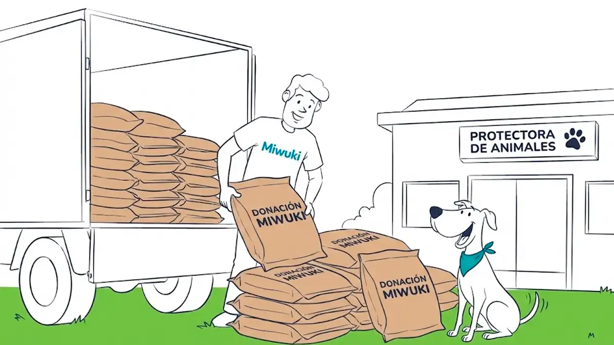 Donaciones de comida a protectoras