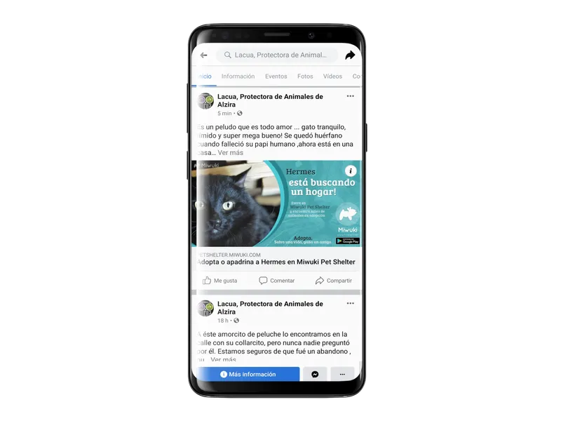 Publicación automática en redes sociales