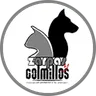 Zarpas y Colmillos