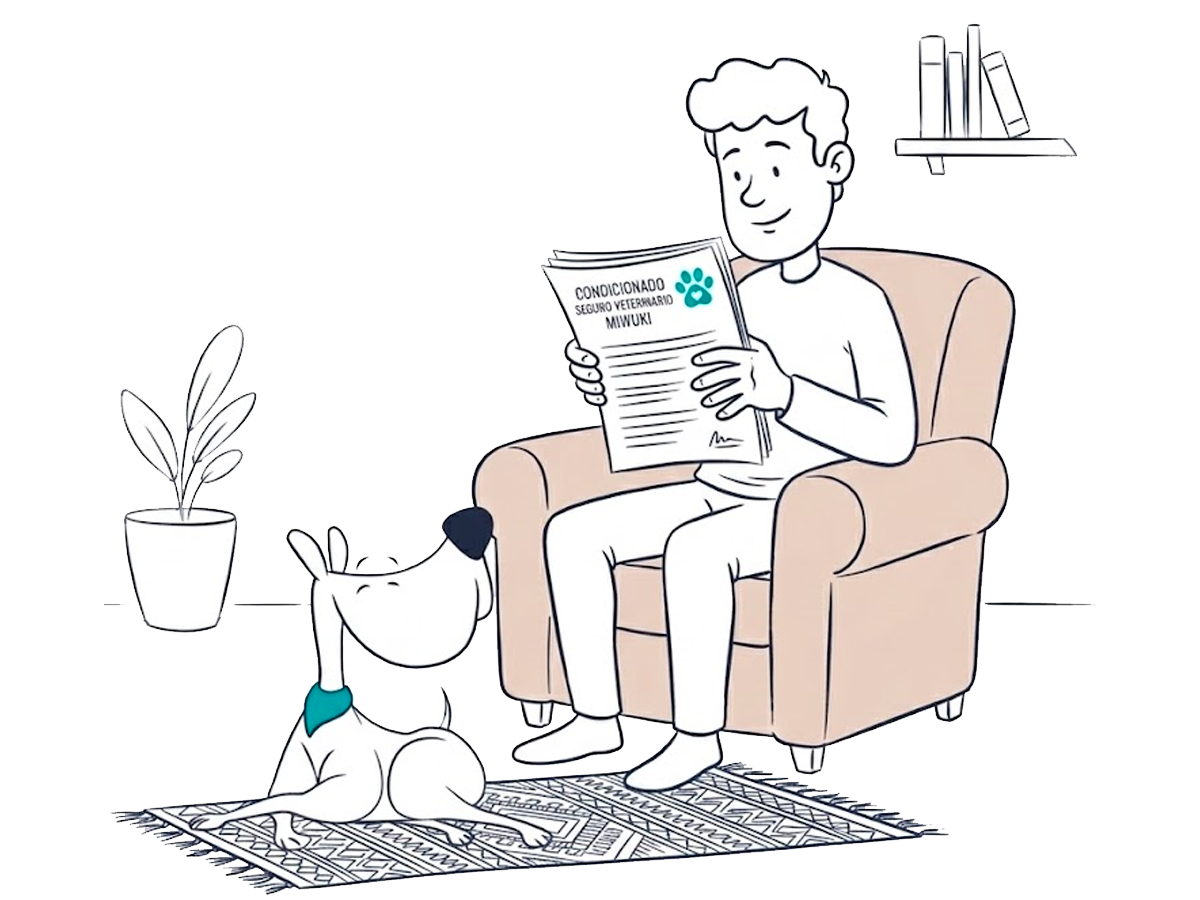 Leyendo el condicionado del seguro Miwuki