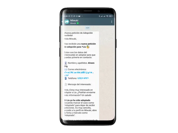 Recepción de peticiones por WhatsApp