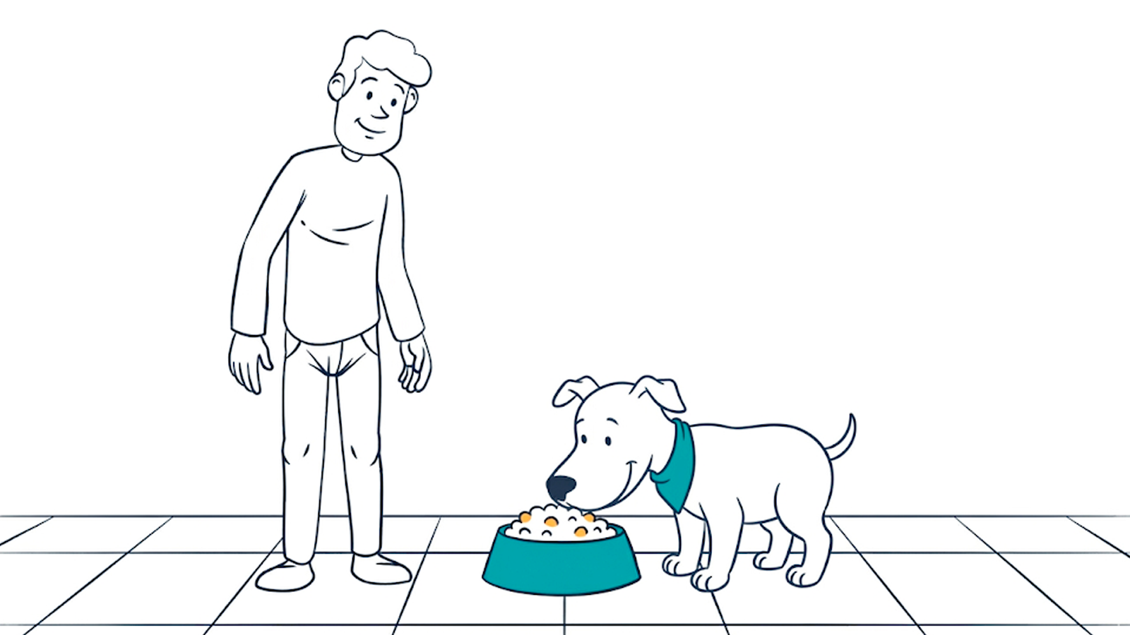 Puppy feeding: how much to give, how many meals, and how to switch food