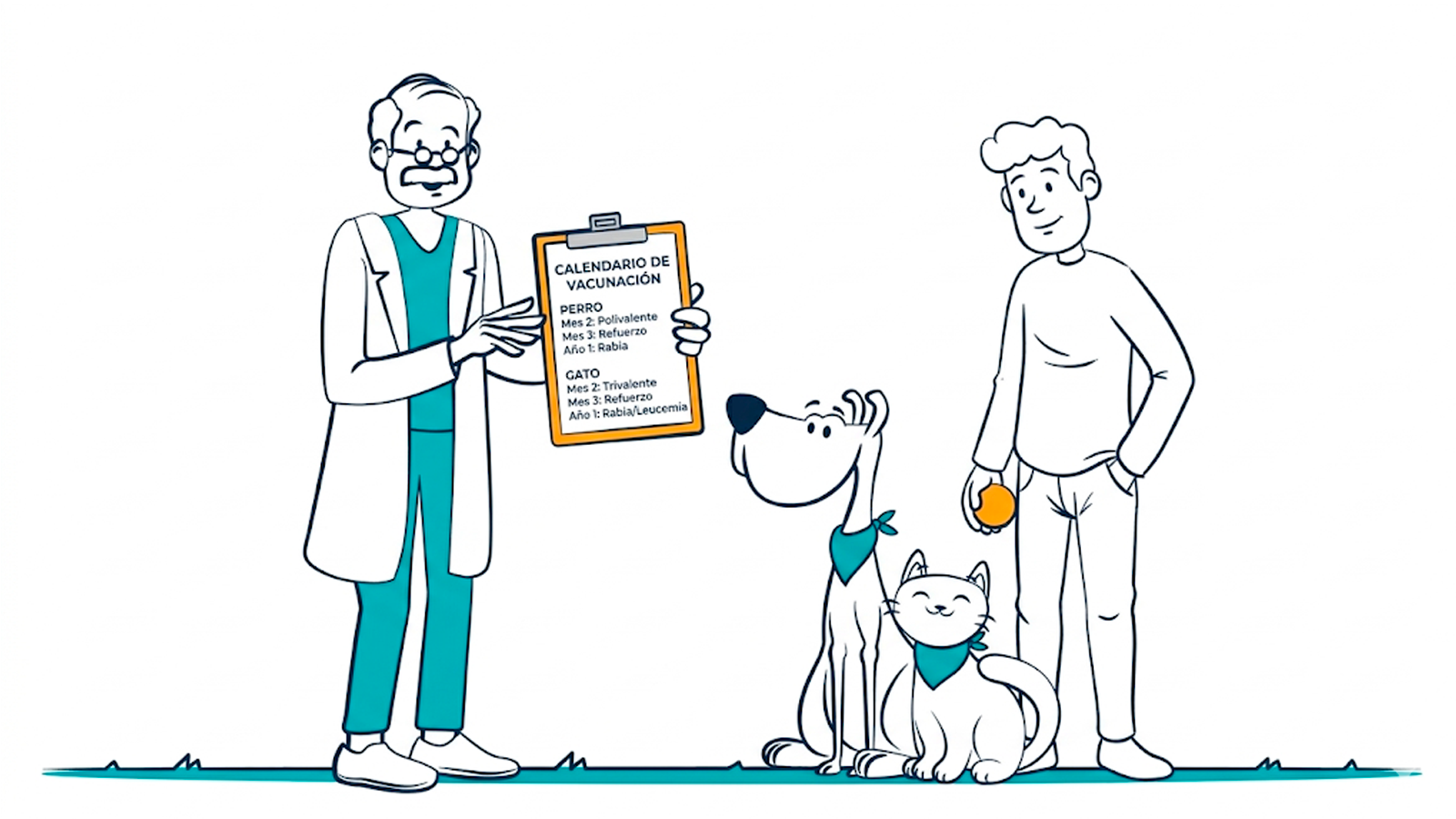 Puppy vaccination schedule: age-based guidance and common mistakes