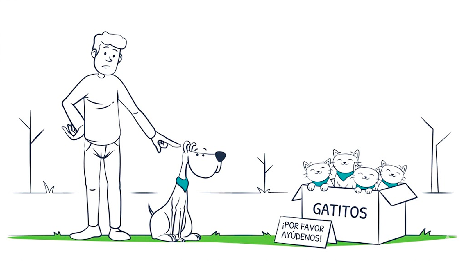 How to care for an abandoned newborn kitten: Step-by-step guide