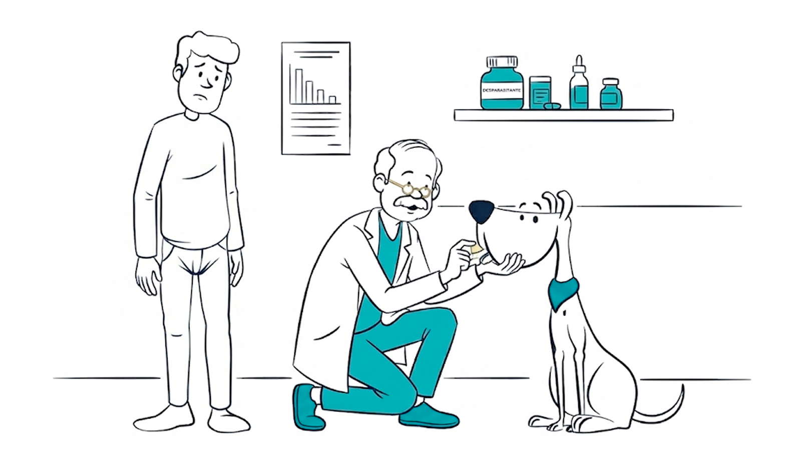 Internal and external parasite prevention: a clear guide for dogs and cats