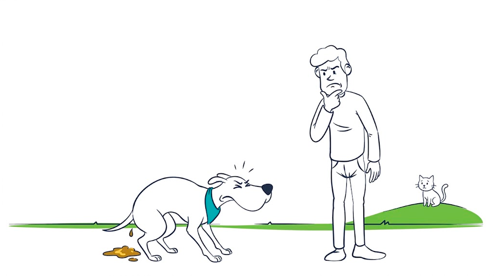 My dog has diarrhea: common causes, what to do at home, and when to see a vet