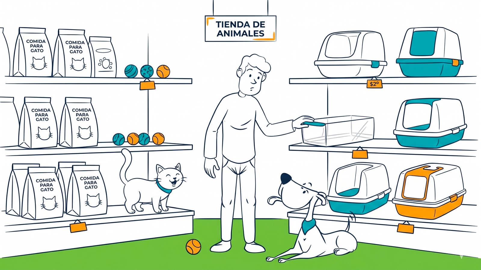 How to choose a litter box for cats: types, sizes and tips to encourage use