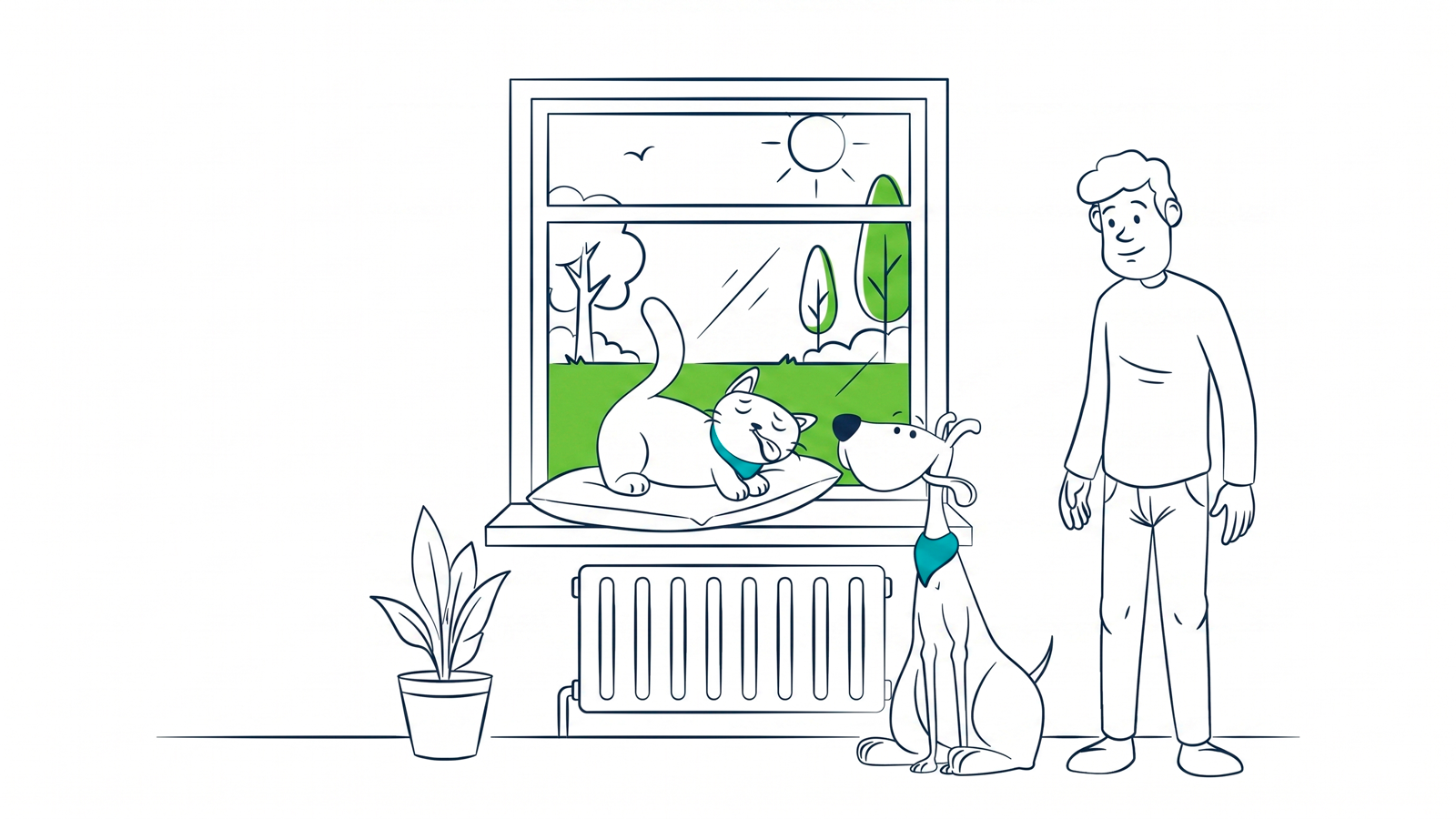 Cat stress: clear signs and how to help at home