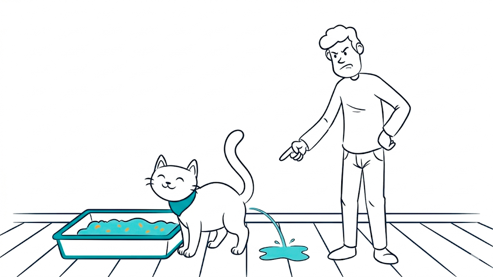 My cat won’t use the litter box: common causes and fixes that work