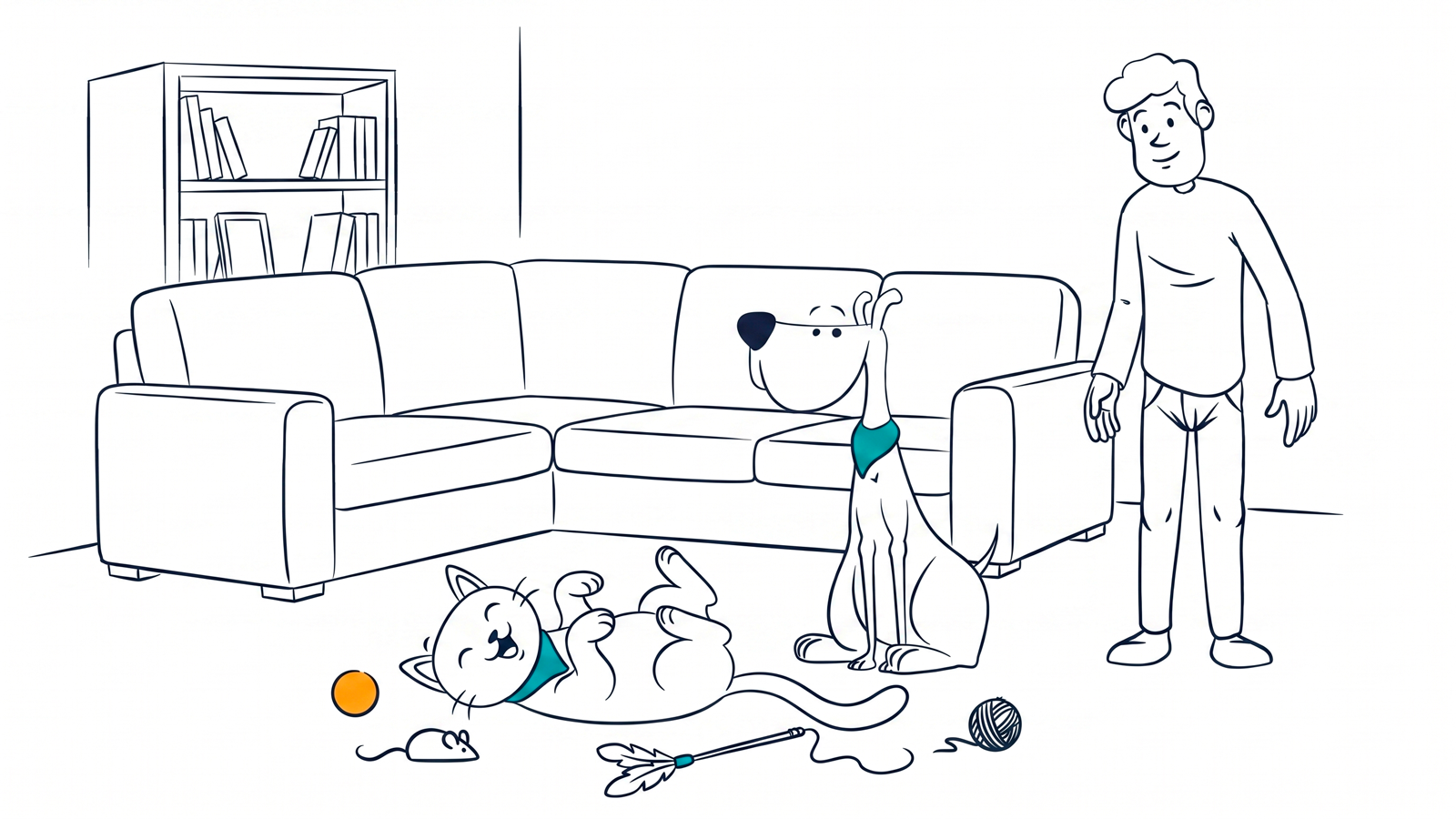 Safe DIY cat toys: easy ideas using what you have at home