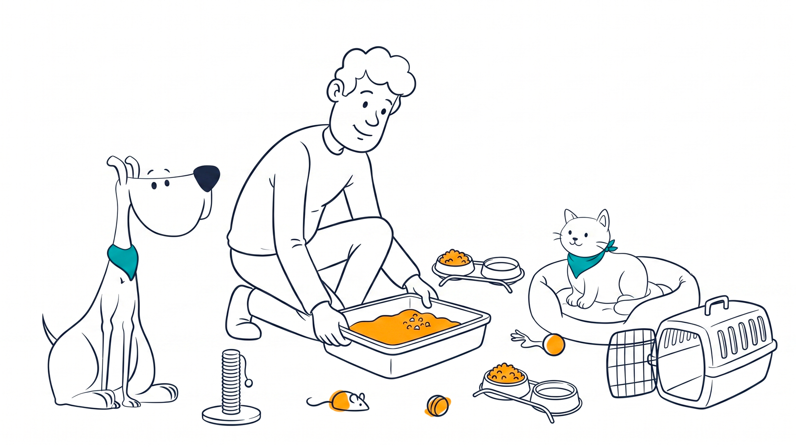 How to prepare your home to adopt a cat: a room‑by‑room checklist