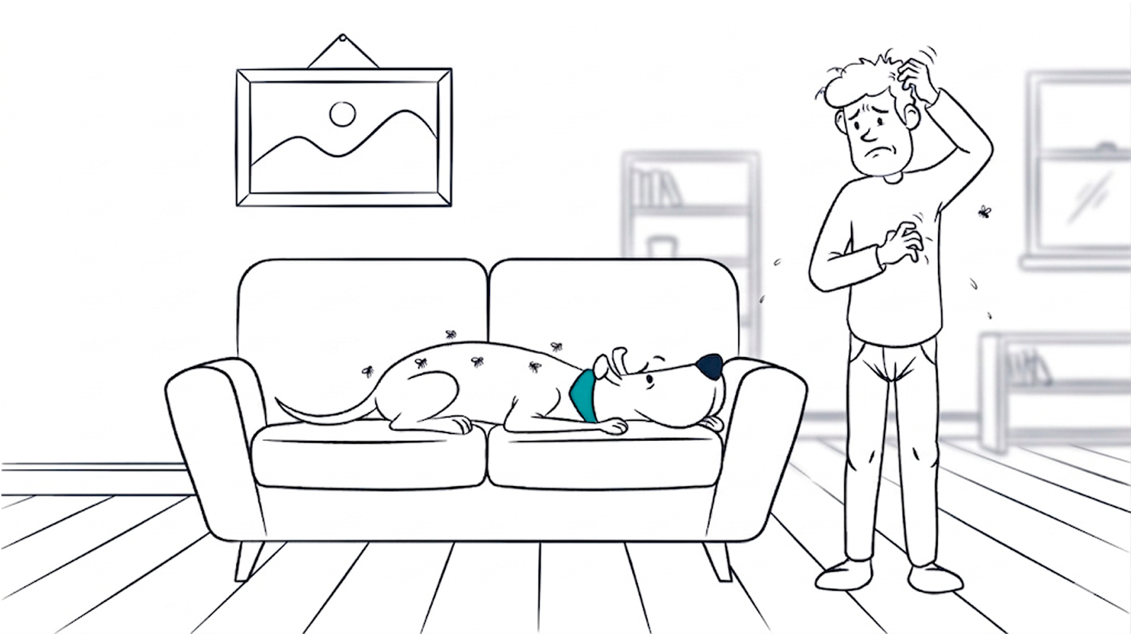 Fleas and ticks: how to remove them and prevent them (dogs and cats)