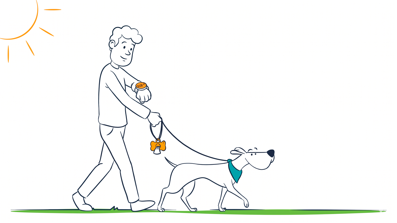 Build a daily routine for your dog: a simple morning‑afternoon‑evening template