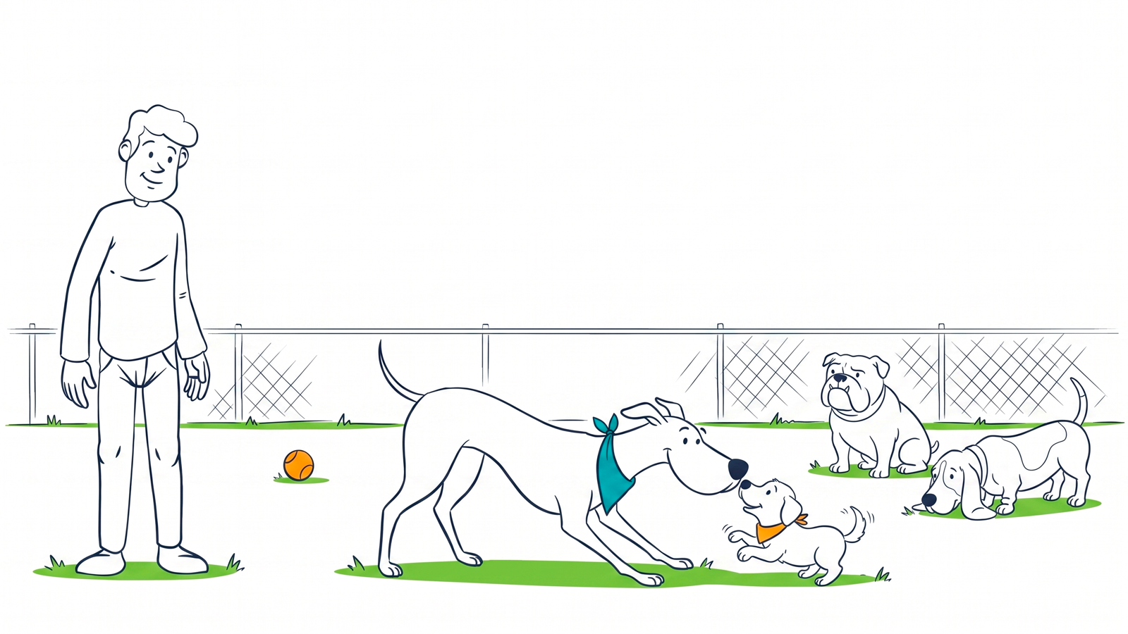 Puppy socialization: the sensitive window and simple steps to do it right