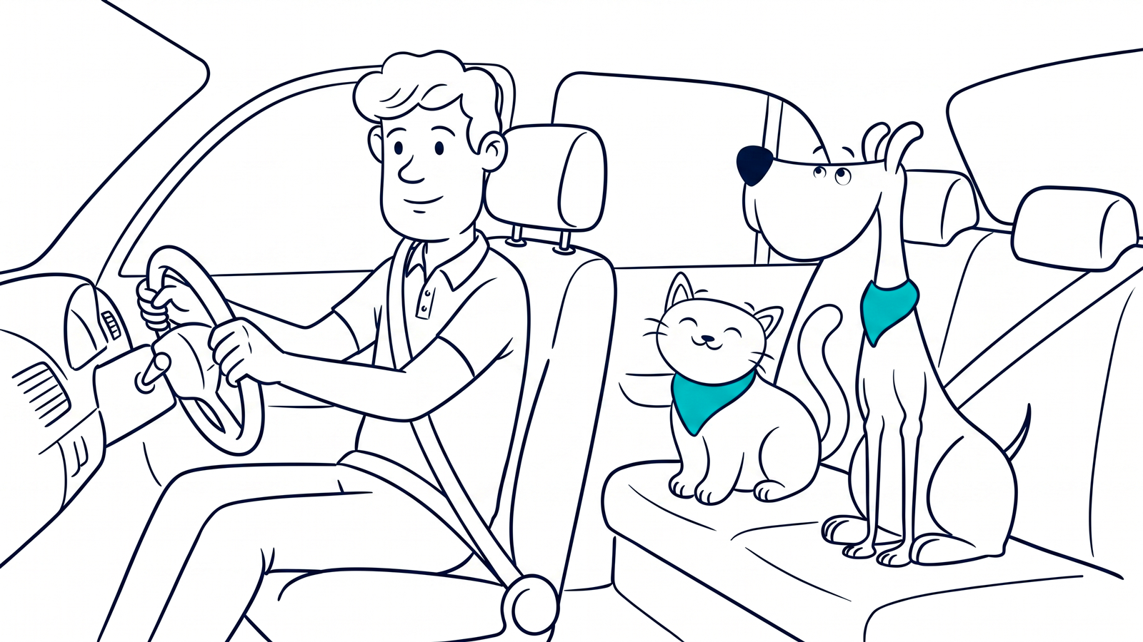 Road trip with your dog: car safety, paperwork, and common mistakes