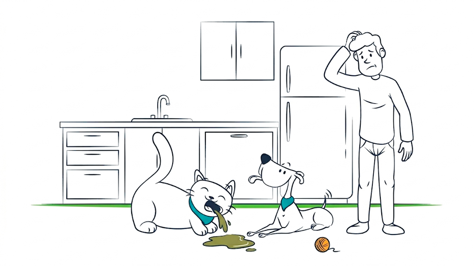 Cat vomiting: what each color can mean and when to worry