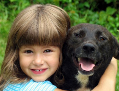 Niños y perros: consejos para una buena convivencia