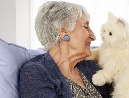 Beneficios de los gatos para las personas mayores