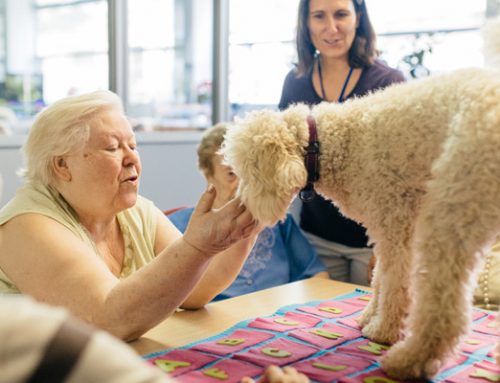 Perros de terapia para la tercera edad