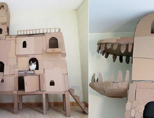Espectacular casa para gatos con forma de dragón construida con cartón
