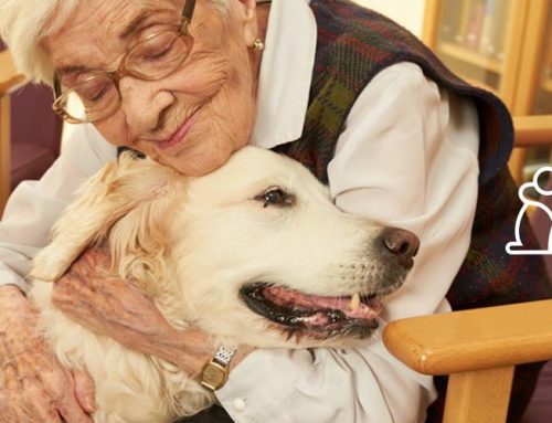 A los Perros hay que quererles como a las Personas