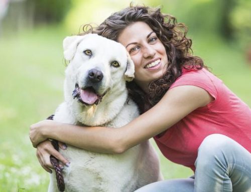 Cinco trucos súper efectivos para que tu perro venga cuando lo llames