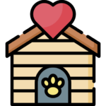 animal-shelter