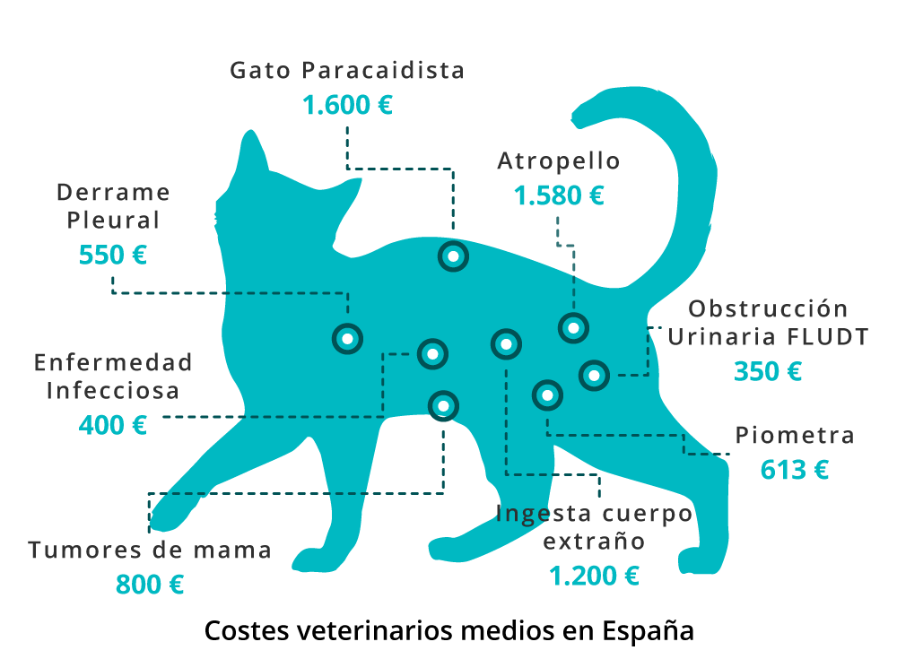 Costes-Veterinarios