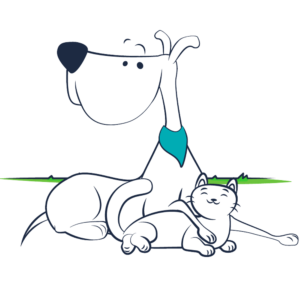 perros-y-gatos