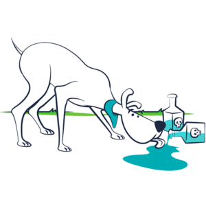 veterinario-urgencias
